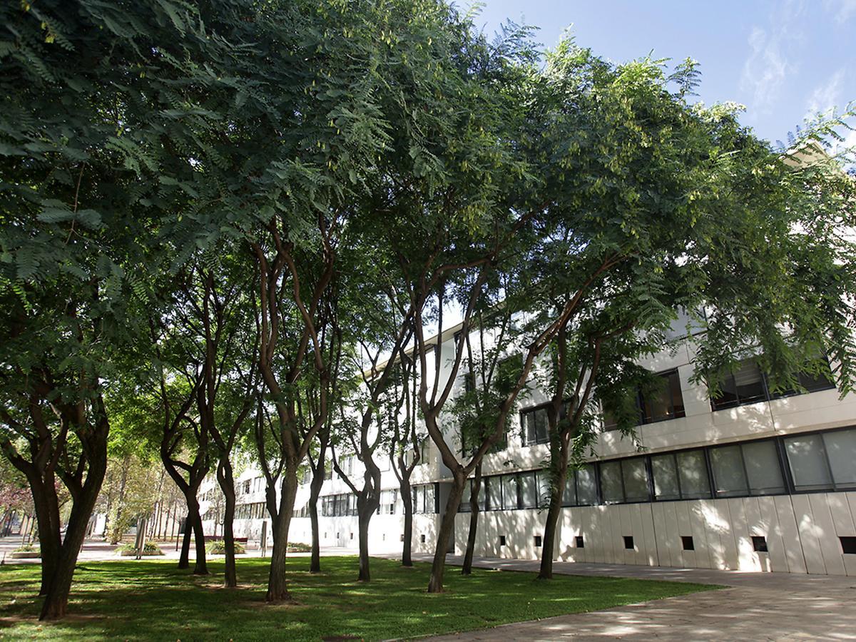 Apartment Vila Olímpica Pamplona Barcelona Exterior foto